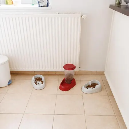 La Longere Des Chats Maison Au Calme Et Au Frais En Campagne 2-6 Pers Casa vacanze *